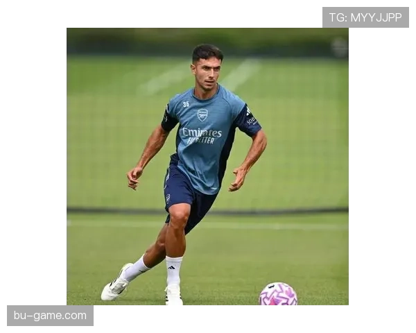 祖比门迪评价两极分化：战术价值与比赛影响力争议